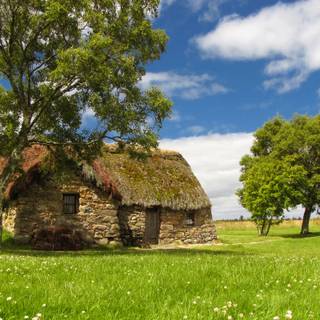 Natural house wallpaper