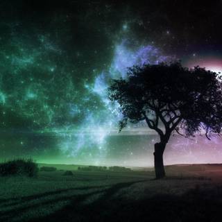 Dreamy tree wallpaper