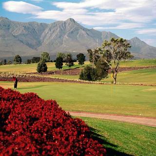 Golfers paradise wallpaper