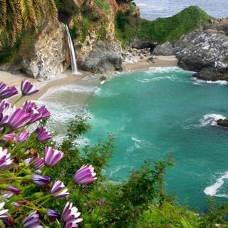 Coastal village wallpaper