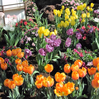 Blooming gardens wallpaper