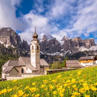 Italy church and wild flowers wallpaper