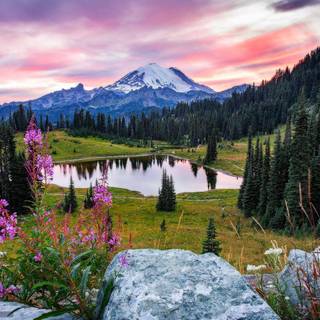Mount Rainier NP wallpaper