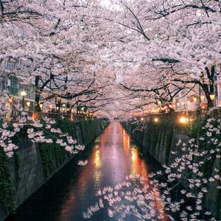 Japanese river wallpaper