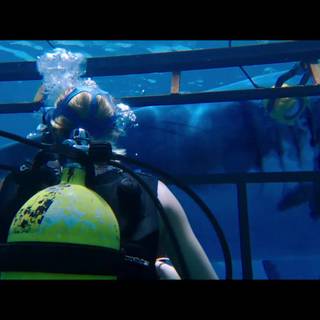 47 Meters Down: Uncaged wallpaper