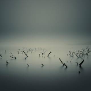 Foggy lake wallpaper