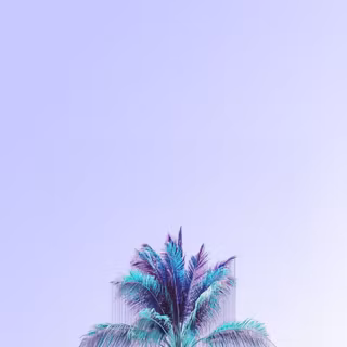 Minimalist aesthetic wallpaper