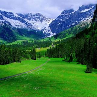 Alpine beauty wallpaper