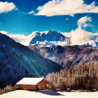 Alpine beauty wallpaper