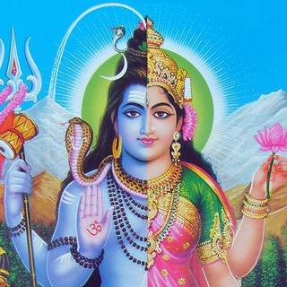 Siva Parvathi wallpaper