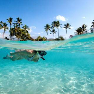 Exotic Seychelles wallpaper