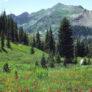 Mountainscape wallpaper