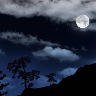 Wolf and moon wallpaper