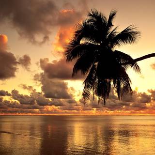 Hawaiian sunset wallpaper