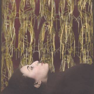 Haluk Akakçe wallpaper