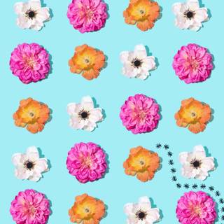 Sweet smell of summer wallpaper