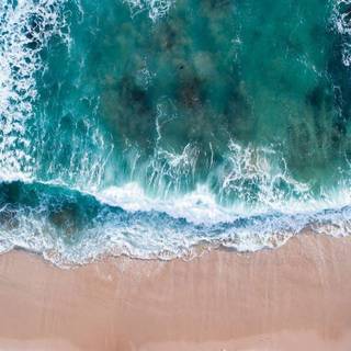 Sweet smell of summer wallpaper