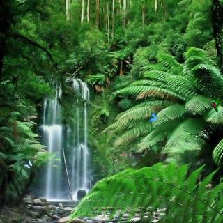 Amazon forest wallpaper