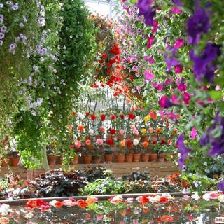 Beautiful garden wallpaper