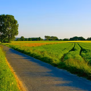 Summer road wallpaper