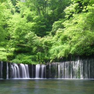 Waterfall rainforest wallpaper