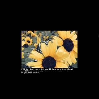 Twenty One Pilots aesthetic wallpaper