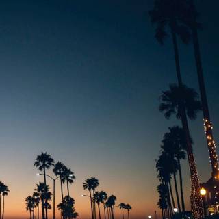 Venice beach desktop wallpaper