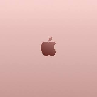 Rose aesthetic wallpaper