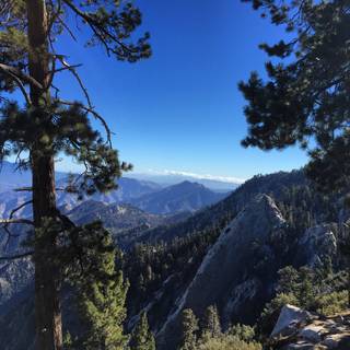 Palm Springs wallpaper