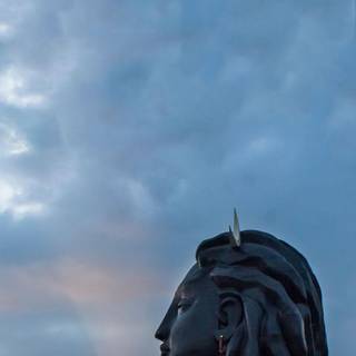 Mobile photography wallpaper