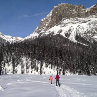 Winter Emerald lake wallpaper