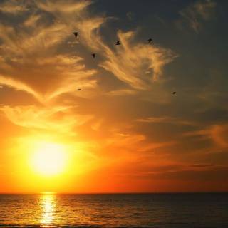 Sunrise on sea wallpaper