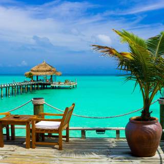 Summer walkway wallpaper