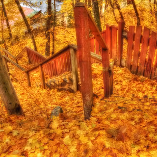 Golden autumn wallpaper