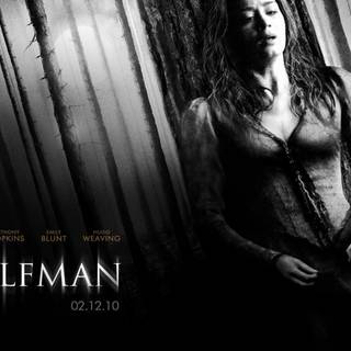 Wolfman wallpaper