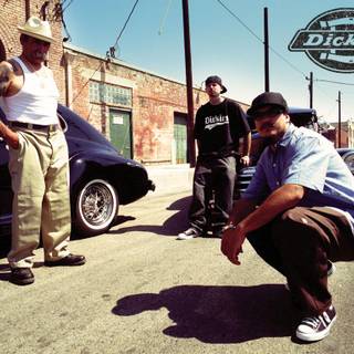 Dickies wallpaper