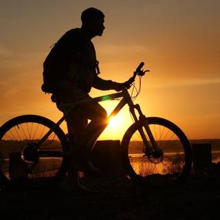Bicycles wallpaper