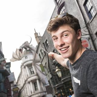 Shawn Mendes 4K wallpaper