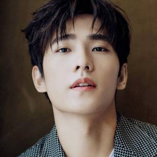 Yang Yang Chinese actor wallpaper