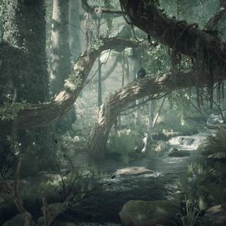 Humankind 2019 wallpaper