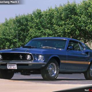 1969 Mach 1 Mustang wallpaper