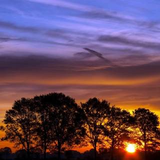 Golden sunset wallpaper