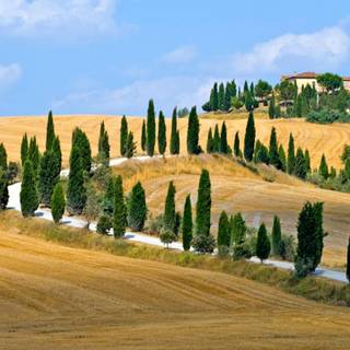 Biking Tuscany wallpaper