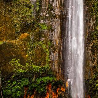 Azores waterfalls wallpaper