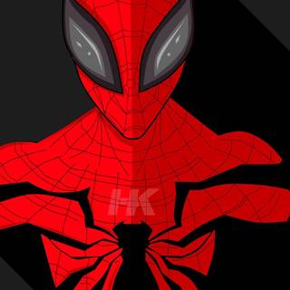 Spider Man iPhone Xr wallpaper