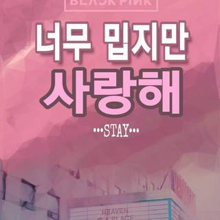 Blackpink Stay wallpaper