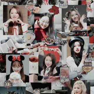 Loona members wallpaper