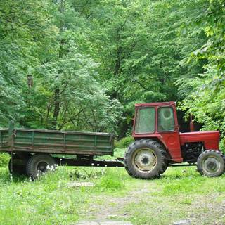 Summer fields wallpaper