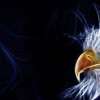 Eagle eye wallpaper