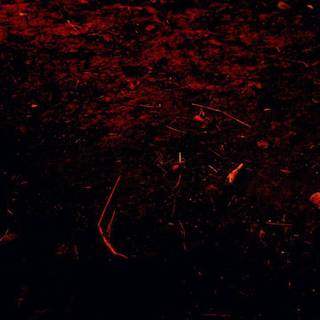 Red amoled wallpaper